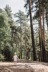 Happy cute toddler boy in t-shirt and shorts walking along path in summer park. Little kid outing on path in pine forest. Hyper-local travel concept. Active lifestyle. Child having fun in green woods.