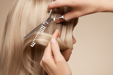 Hairdresser cuts long blonde hair with scissors. Hair salon, hairstylist. Care and beauty hair...
