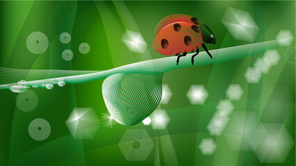 เส้น 4 ladybug, insect, ladybird, nature, leaf, bug, spring, grass, beetle, summer, vector, animal, macro, red, illustration, plant, close-up, flower, color, art, beauty, garden, lady, season, life