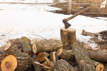 Harvesting firewood, an ax in a tree. Agriculture concept