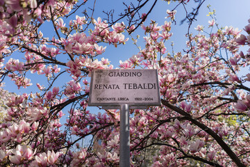 Garden sign board close up in Milan city full bloom of Magnlia on spring time.