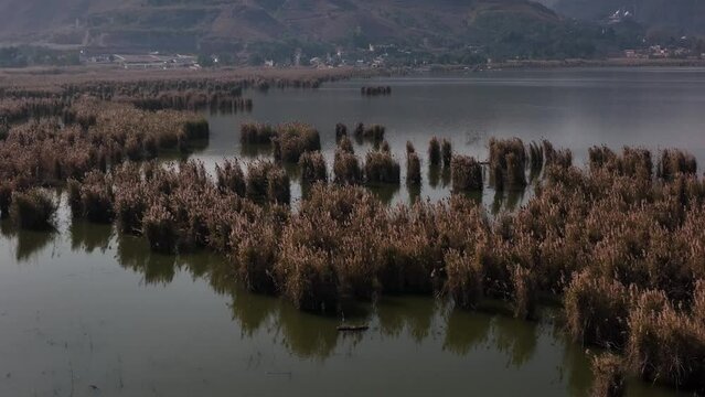 Aerial Circle Dolly Over Wetlands At Kallar Kahar Lake. Establishing Shot