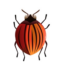 Colorado beetle. Wildlife object. Little funny insect. Cute cartoon style. Isolated on white background. Vector