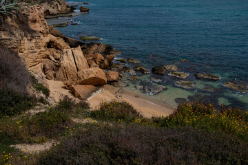 reef with crystal clear waters