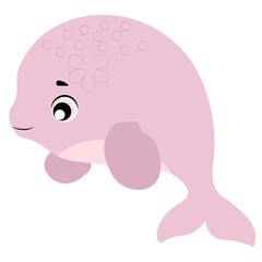 dolphin baby isolated on white background