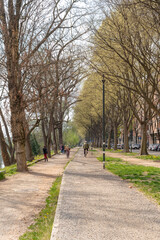 Road, bike path. A person riding a bike. Park on a spring day, people enjoying the outdoors.