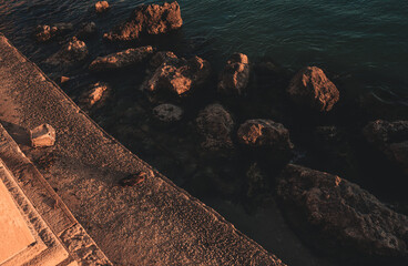 ducks at sunset in town