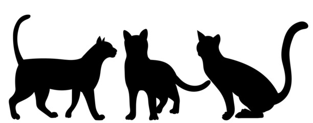 cats silhouette, isolated on white background vector