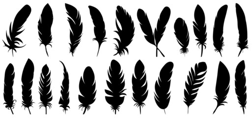 bird feather set silhouette, isolated on white background vector