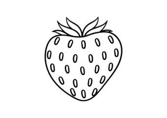hand drawn illustration of strawberries on a white background