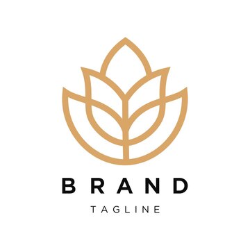 Premium Ornament Flower Logo design, Lotus Logo Designs, Tulip logo designs