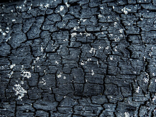 Charcoal background. Texture of charred wood surface