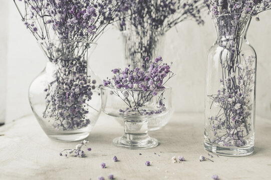 purple gypsophila dry flowers in many glass jars and bottles on a white background. art image, floral still life, selective content
