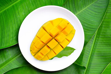 Tropical fruit, Mango in white plate on green leaves