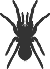 Tarantula Silhouette. Isolated Vector Animal Template for Logo Company, Icon, Symbol etc