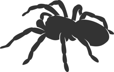 Tarantula Silhouette. Isolated Vector Animal Template for Logo Company, Icon, Symbol etc