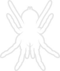 Tarantula Silhouette. Isolated Vector Animal Template for Logo Company, Icon, Symbol etc