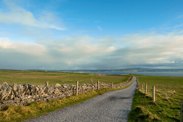 Small narrow country road between big green agriculture fields. County Clare, Ireland. Warm sunny day, Cloudy sky. Farming industry. Irish landscape