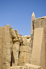 Ruins of Karnak Temple complex with statues, pylons, sculptures and columns carved with ancient Egyptian hieroglyphs and symbols (ancient Thebes). Luxor, Egypt. Vertical photo.