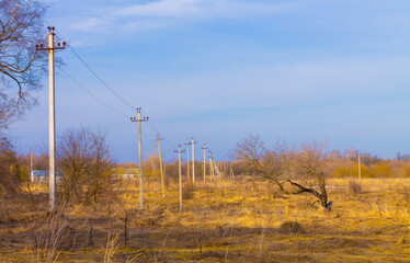 A lone tree on a power line against a background of orange grass. Combination of technology and nature. Dry gnarled tree against the background of power poles.