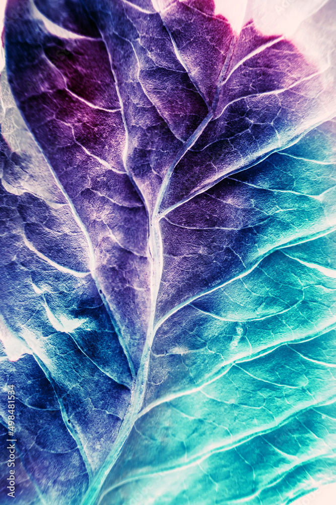 Fototapete Beautiful abstraction leaf texture  neon light. Minimalism retro style concept. Background pattern for design. Macro photography view.