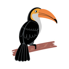 Toucan vector isolated on white. Toucan bird cartoon character. South America fauna © Pavel
