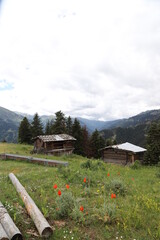 abandoned villages in forest area.Turkey