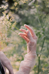 Fototapeta na wymiar elegant woman hand in a nylon white glove with ring surrounded by white wildflowers. Walking in forest collecting flowers