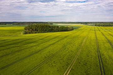 Obraz premium aerial view to countryside with green agricultural fields and forests