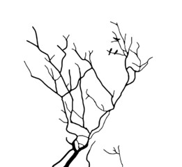 Illustration of Dead Tree Trunk at Winter in Black and White