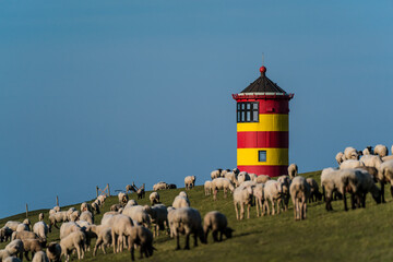 Pilsum lighthouse in Northern Germany on the North Sea with sheep in the foreground