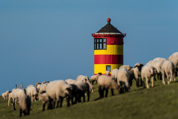 Pilsum lighthouse in Northern Germany on the North Sea with sheep in the foreground