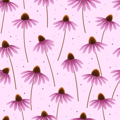 Seamless pattern with echinacea on pink background. Floral illustration. Hand drawn vector texture. - obrazy, fototapety, plakaty