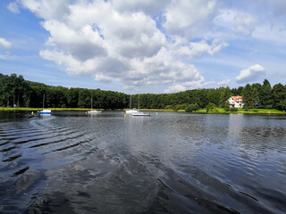 magical landscapes from the lipno dam in the bohemian forest czech republic,Europe