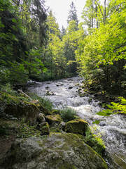 Rustic wild gorge Buchberger Leite in the Bavarian Forest Germany,Europe