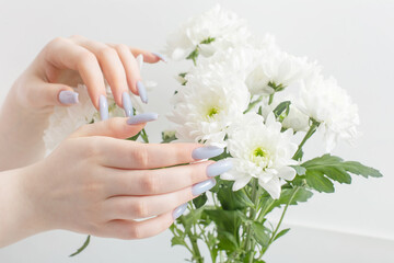 female hands with beautiful manicure and chrysanthemum flowers