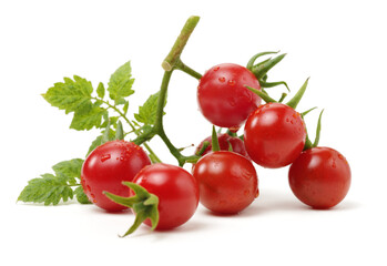 cherry tomatoes on white background 