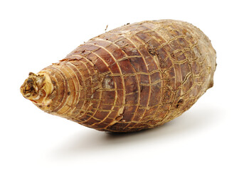 Taro on a white background