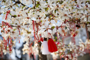 Red and white Martenitsa or Martisor bracelets, hanging on the branches of the blooming tree - Bulgarian and Romanian spring tradition