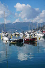 Fototapeta premium lerici