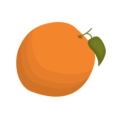 Vector orange with a twig. The illustration of an orange with a leaf on a white background is isolated