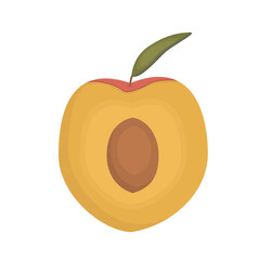 Vector half of a peach with a stone and a leaf on a white background is isolated.