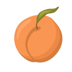Vector whole peach on a twig with leaves on a white background is isolated.