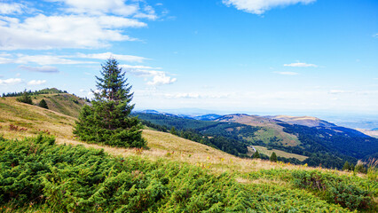 Visually Attractive View of Summer Countryside Mountain Nature Landscape. Picturesque Scenery Green Hills And Fields With Pine Trees. Beautiful Blue Sky With Clouds. Mountain Kopaonik, Serbia, Europe.