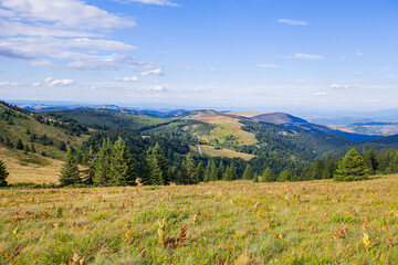 Fototapeta na wymiar Picturesque Scenery Green Hills And Fields With Pine Trees. Summer Countryside Mountain Nature Landscape. Beautiful Blue Sky With Clouds. Visually attractive View Of Mountain Kopaonik, Serbia, Europe