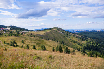 Picturesque Scenery Green Hills And Fields With Pine Trees. Summer Countryside Mountain Nature Landscape.  Beautiful Blue Sky With Clouds. Visually attractive View Of Mountain Kopaonik, Serbia, Europe