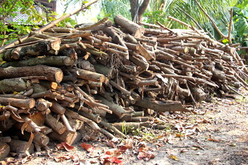stack of firewood