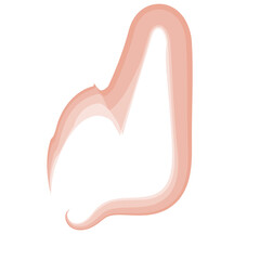 Watercolor Swirl Brushstroke Orange
