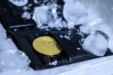  A representative crypto currency cold wallet image, which a real wallet is inside a fridge and ice cubes around and a bitcoin figurine inside the wallet