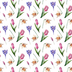 Hand Drawn Spring flowers watercolor digital paper Pink tulips White narcissus and Purple crocuses. Floral seamless pattern